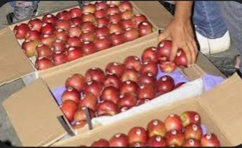 Breaking: कुमारसैन से आंध्रप्रदेश जा रहा सेब से लदा ट्रक लापता, मामला दर्ज