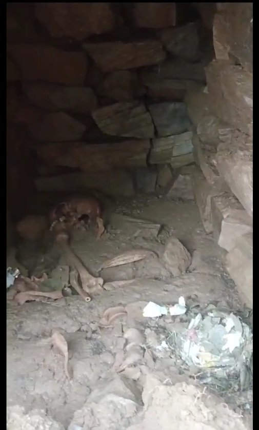 Breaking: शोघी पंचायत भवन की खुदाई के दौरान मिला नर कंकाल, पुलिस ने जांच के लिए भेजा