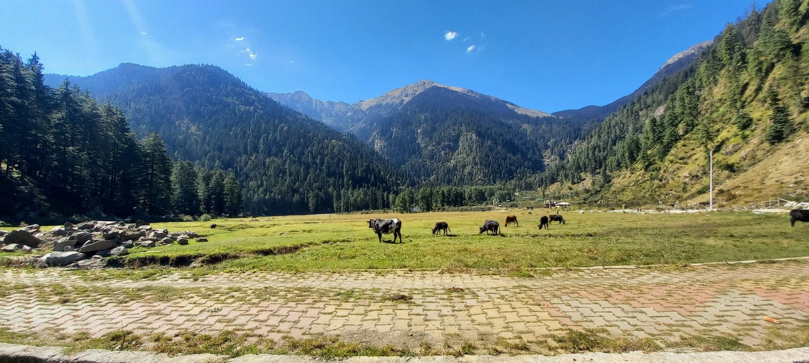 Breaking: बागा सराहन समेत 3 अन्य जगहों पर तलाशी जाएंगी पैराग्लाइडिंग की संभावनाएं, जानें कब