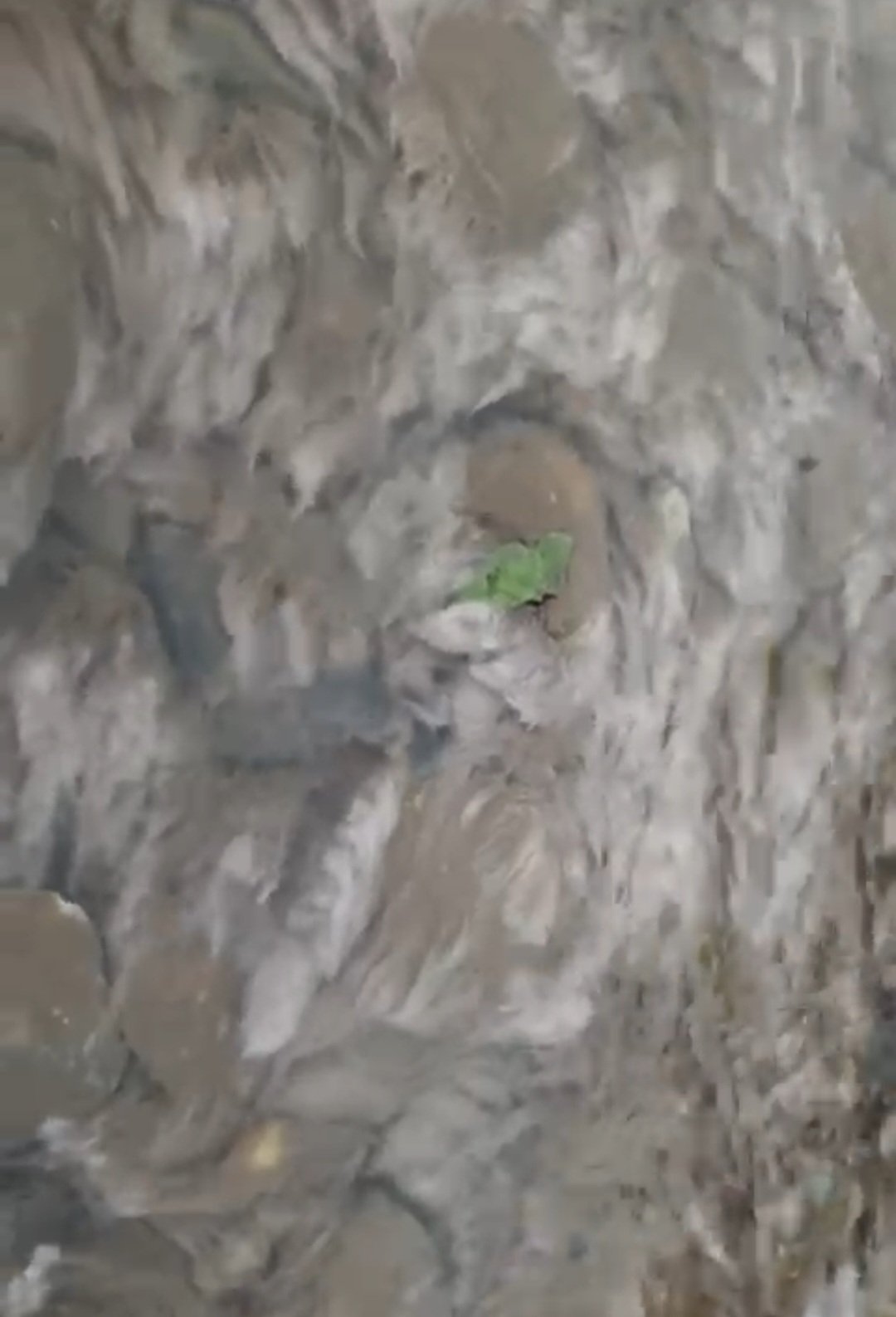 Breaking: गिरि पेयजल परियोजना में तरल पदार्थ मिलने से दहशत ,विभाग ने बंद की पानी की आपूर्ति