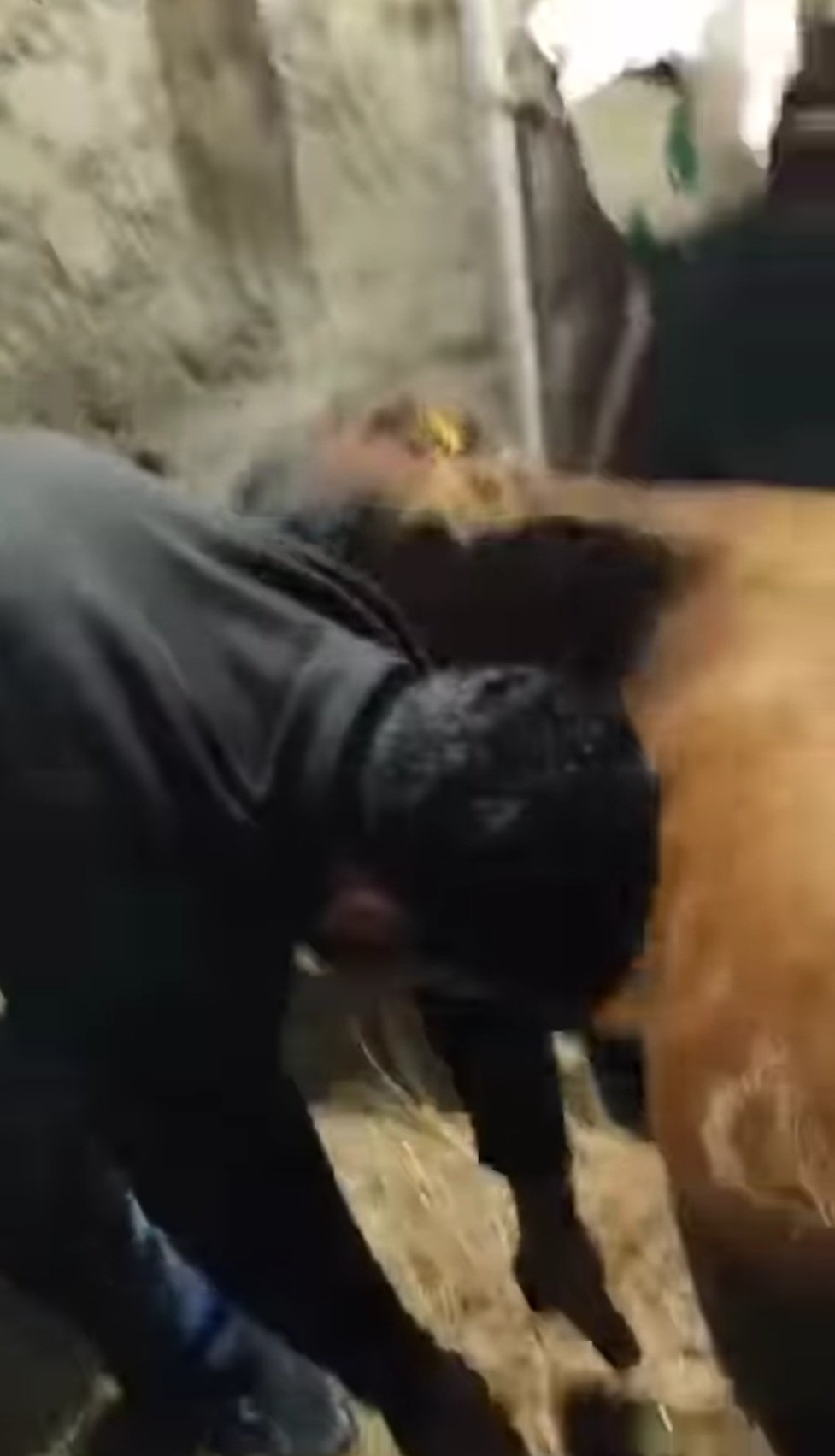 Breaking : शिमला के निजी होटल में गौमांस को लेकर हाथापाई,जांच में जुटी पुलिस