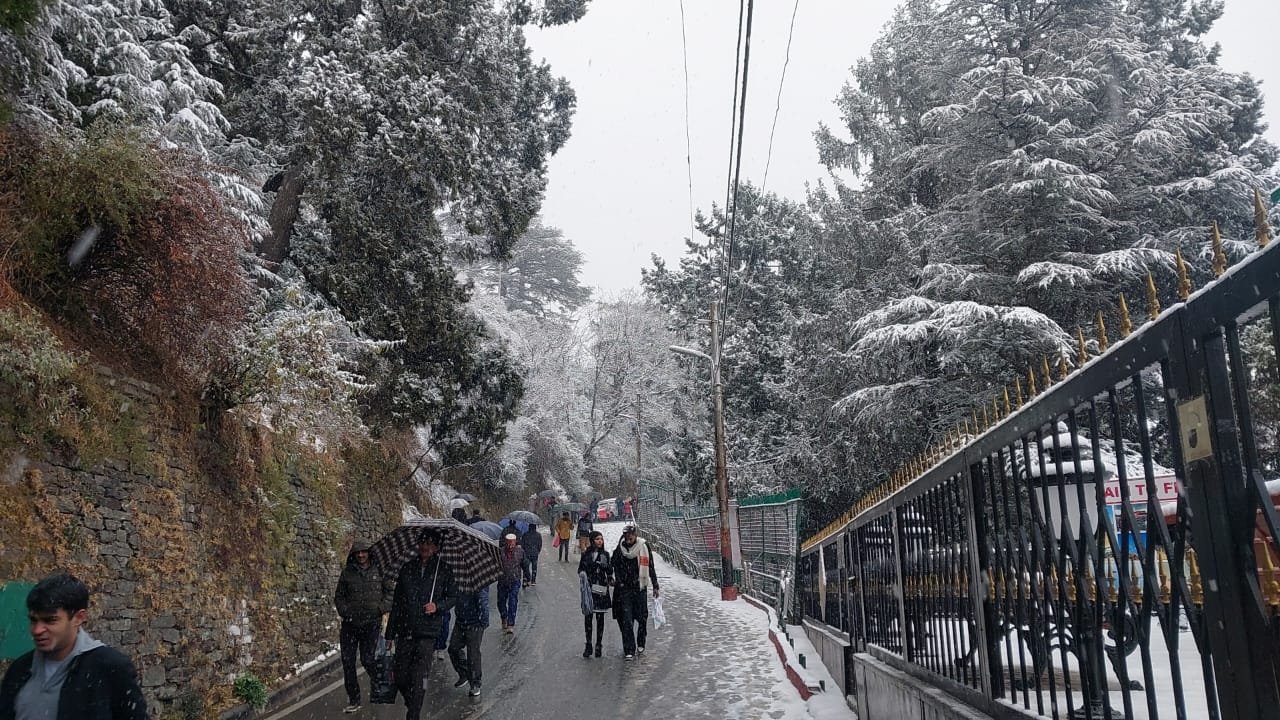 Breaking: लंबे समय बाद शिमला में मनाया जाएगा व्हाईट क्रिसमस, ताजा बर्फ़बारी के बाद शिमला पहुंच रहे सैलानी