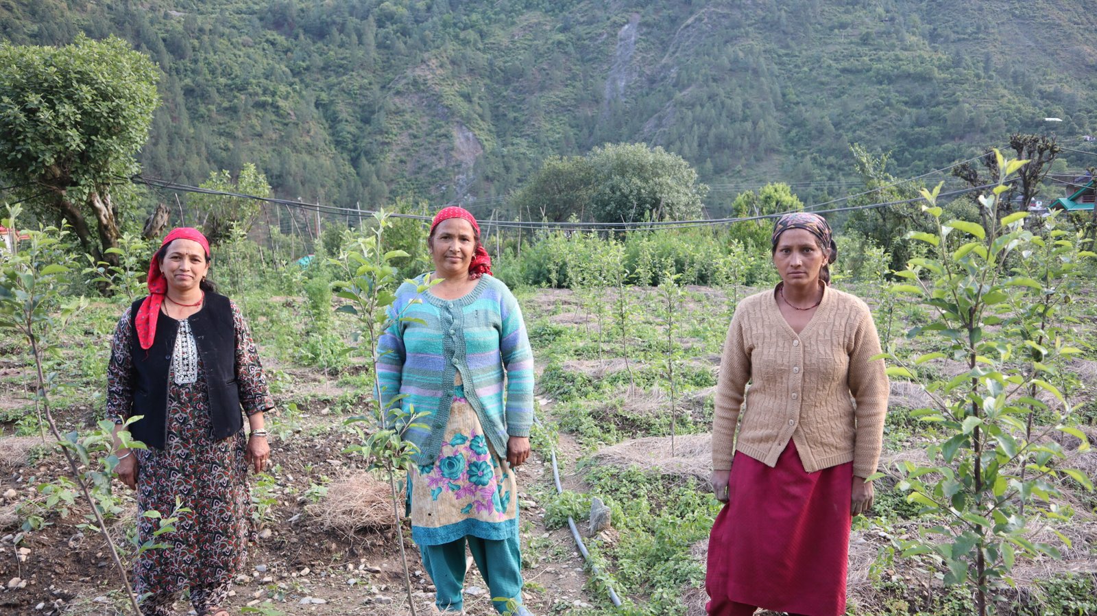 बागवानी क्षेत्र में बिना रसायनों के 40 लाख रूपये कमा रही बंजार की अनिता नेगी