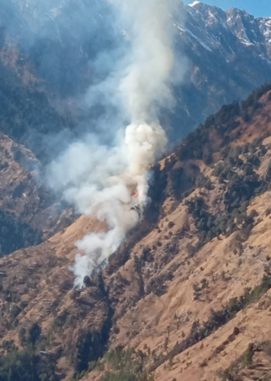 Breaking: सरपारा के मलोवा जंगल मे आग बुझाते हुए 70 वर्षीय बुजुर्ग महिला की जिंदा जलकर हुई मौत