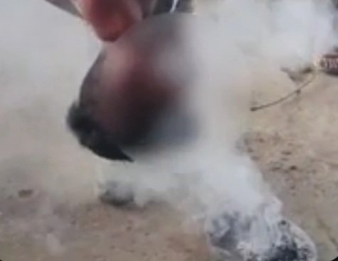 Breaking: सुन्नी में व्यक्ति ने अपनी पत्नी और बच्चों को मिर्च का धुआं लगाकर कमरे में किया कैद