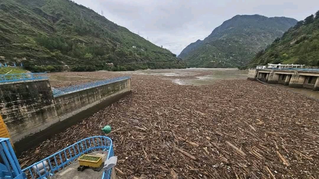 CID करेगी पंडोह डैम में बहकर आई वन लकड़ियों की जांच