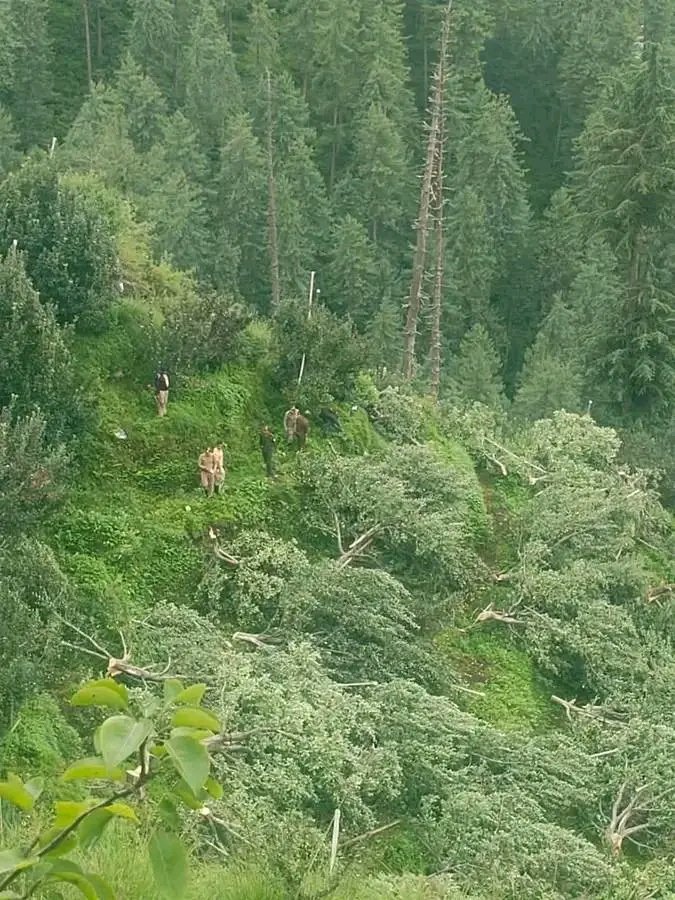 Breaking: सुप्रीम कोर्ट ने सरकारी भूमि पर लगाए सेब पौधे काटने पर लगाई रोक