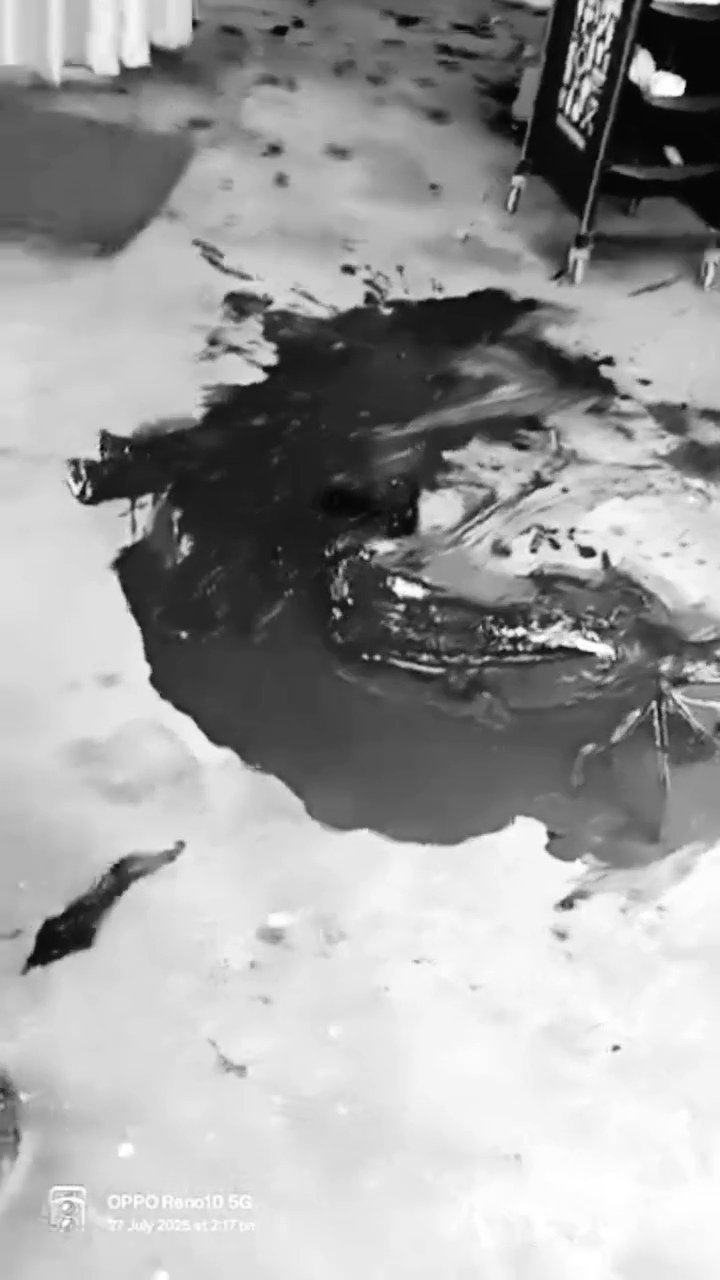 Breaking: ऊना के बसाल में सैलून में कटिंग करवा रहे युवक की गोली मारकर हत्या