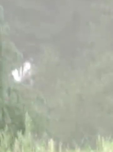 Breaking: जंजैहली मगरुनाला में कार दुर्घटनाग्रस्त 3 की मौत 2 घायल