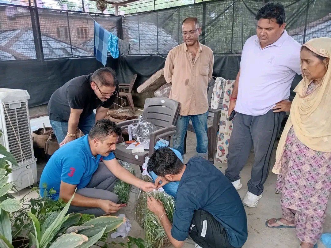 Breaking: घर की छत पर हाइब्रिड तरीके से उगाई भांग आरोपी गिरफ्तार, जानें कहां