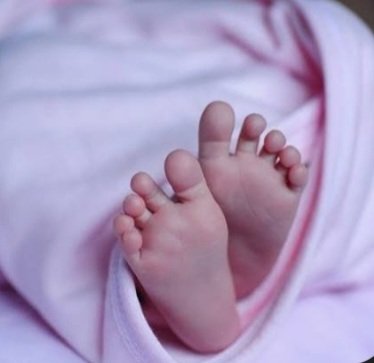 किन्नौर के उरनी नहर में मिला नवजात का शव,मचा हड़कंप